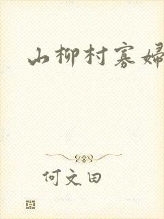 山柳村寡妇情史