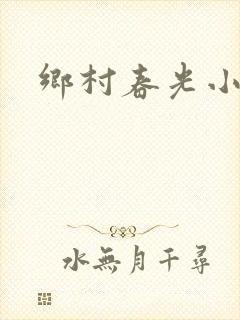 乡村春光小说