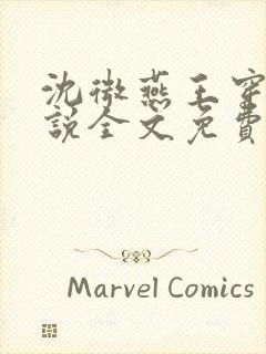 沈微燕王穿越小说全文免费阅读