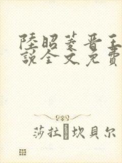 陆昭菱晋王的小说全文免费阅读