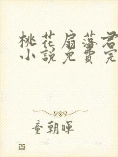 桃花扇落君不还小说免费完整版