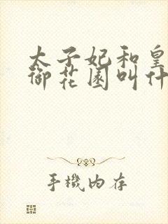 太子妃和皇帝在御花园叫什么小说