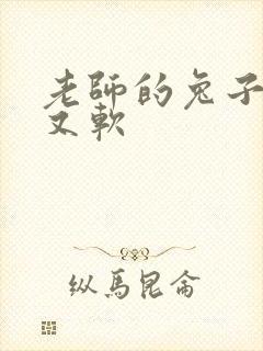 老师的兔子又大又软