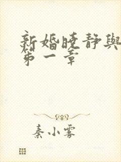 新婚晓静与翁公笫一章