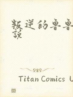 叛逆的鲁鲁修小说