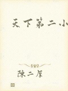 天下第二小说
