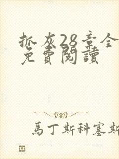 抓灰28章全部免费阅读