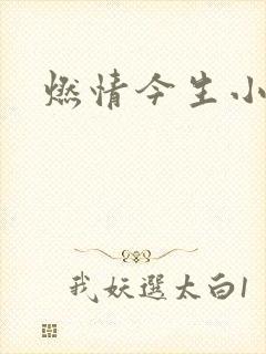 燃情今生小说