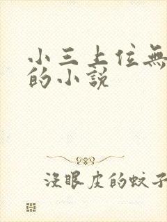 小三上位无三观的小说