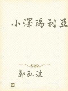 小泽玛利亚作品