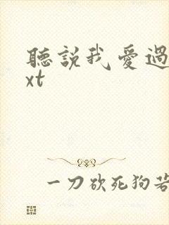 听说我爱过你txt