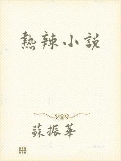 热辣小说