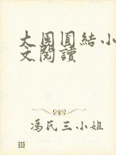 大团圆结小茹全文阅读