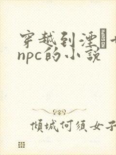 穿越到湮婸世界npc的小说