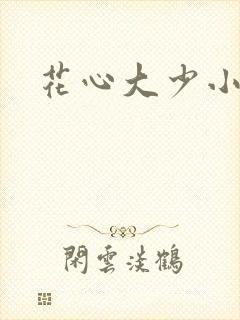 花心大少小说