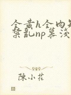 全黄h全肉短篇禁乱np慕浅浅