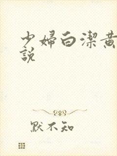 少妇白洁黄色小说