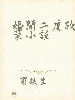 婚开二度欣欣向荣小说