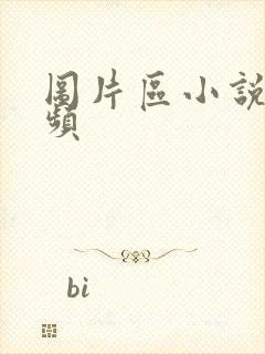 图片区小说区视频