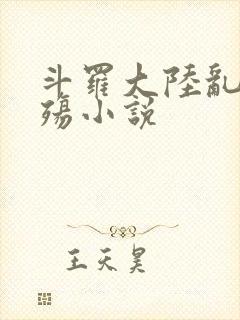 斗罗大陆乱世浮殇小说