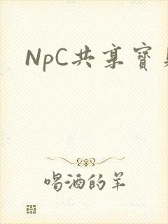 NpC共享宝贝