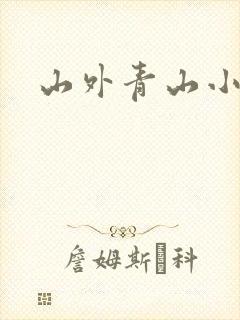 山外青山小说