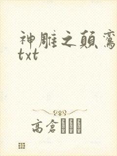 神雕之颠鸾倒凤txt