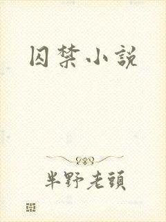 囚禁小说