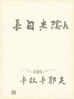 长日光阴h
