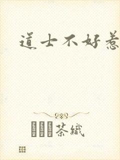 道士不好惹小说