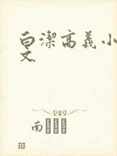 白洁高义小说全文