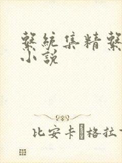 系统集精系统 小说