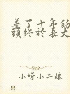 养了十年的小丫头终于长大了