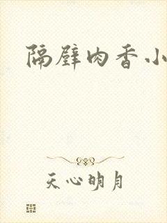 隔壁肉香小说