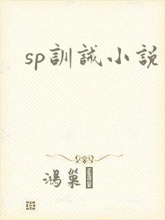 sp训诫小说