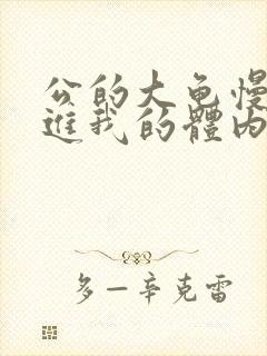 公的大龟慢慢挺进我的体内