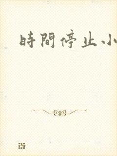 时间停止小说
