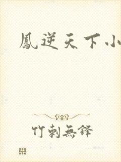 凤逆天下小说