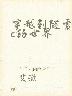 穿越到随处可以c的世界