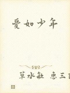 爱如少年
