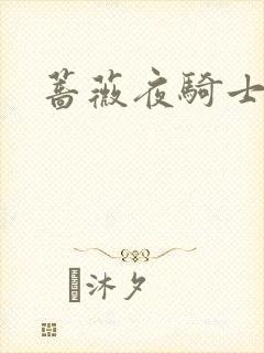 蔷薇夜骑士