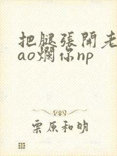 把腿张开老子cao烂你np