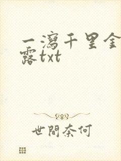 一泻千里金银花露txt