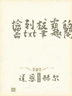 捡到校霸的遥控器txt笔趣阁