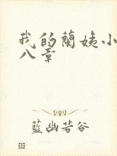 我的兰姨小说第八章