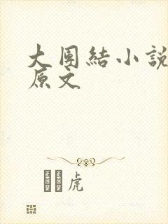 大团结小说阅读原文