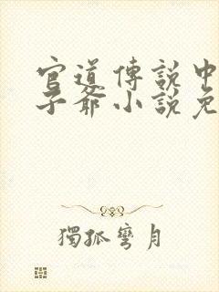 官道传说中的太子爷小说免费阅读