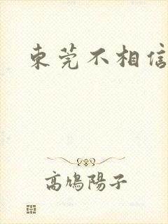 东莞不相信眼泪