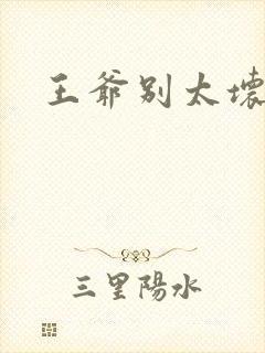 王爷别太坏封面