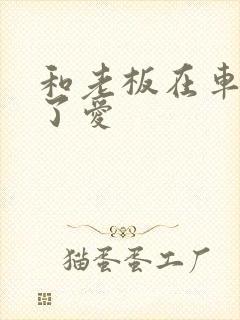 和老板在车里做了爱